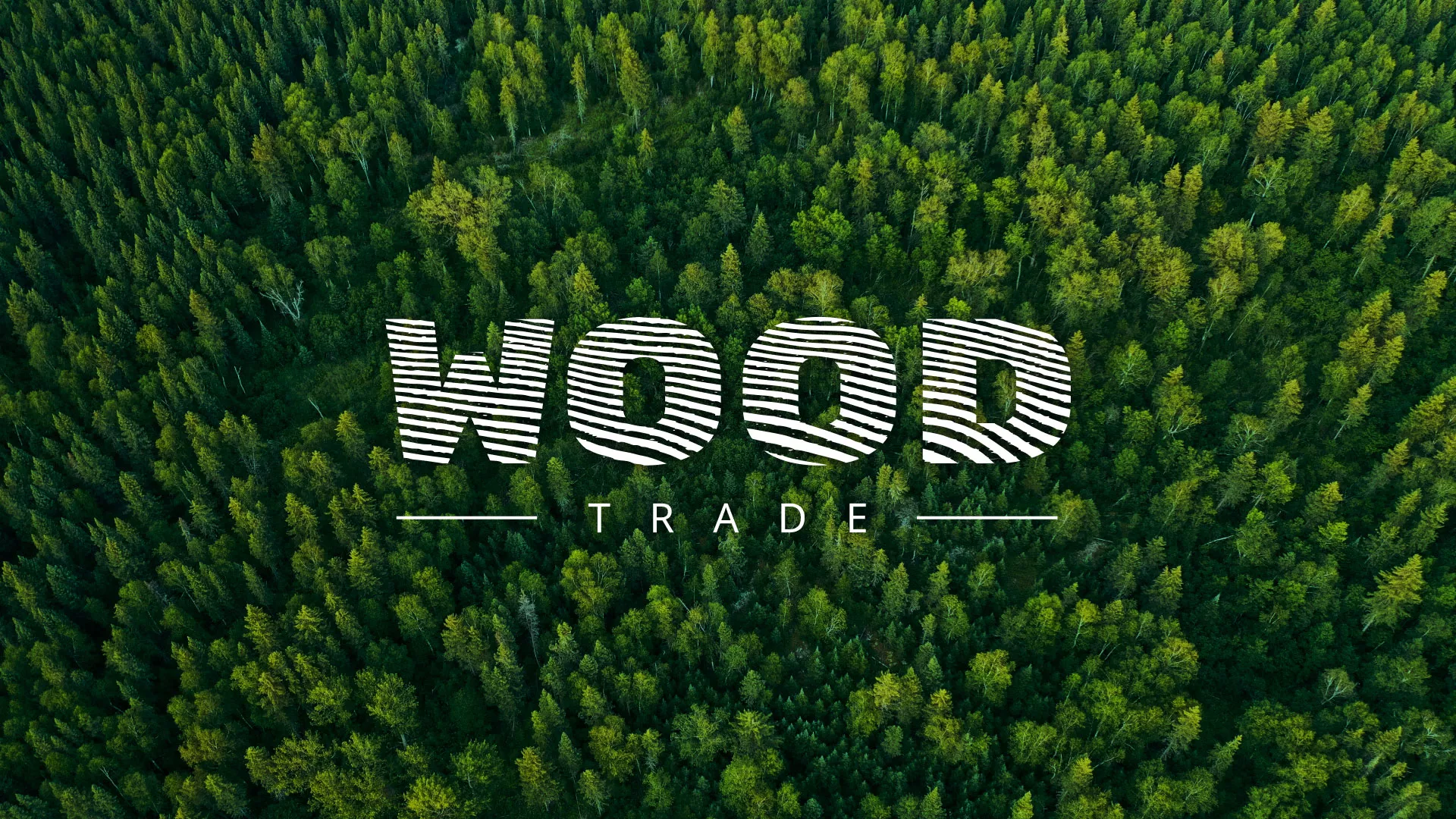 Разработка интернет-магазина компании «Wood Trade» в Астрахани