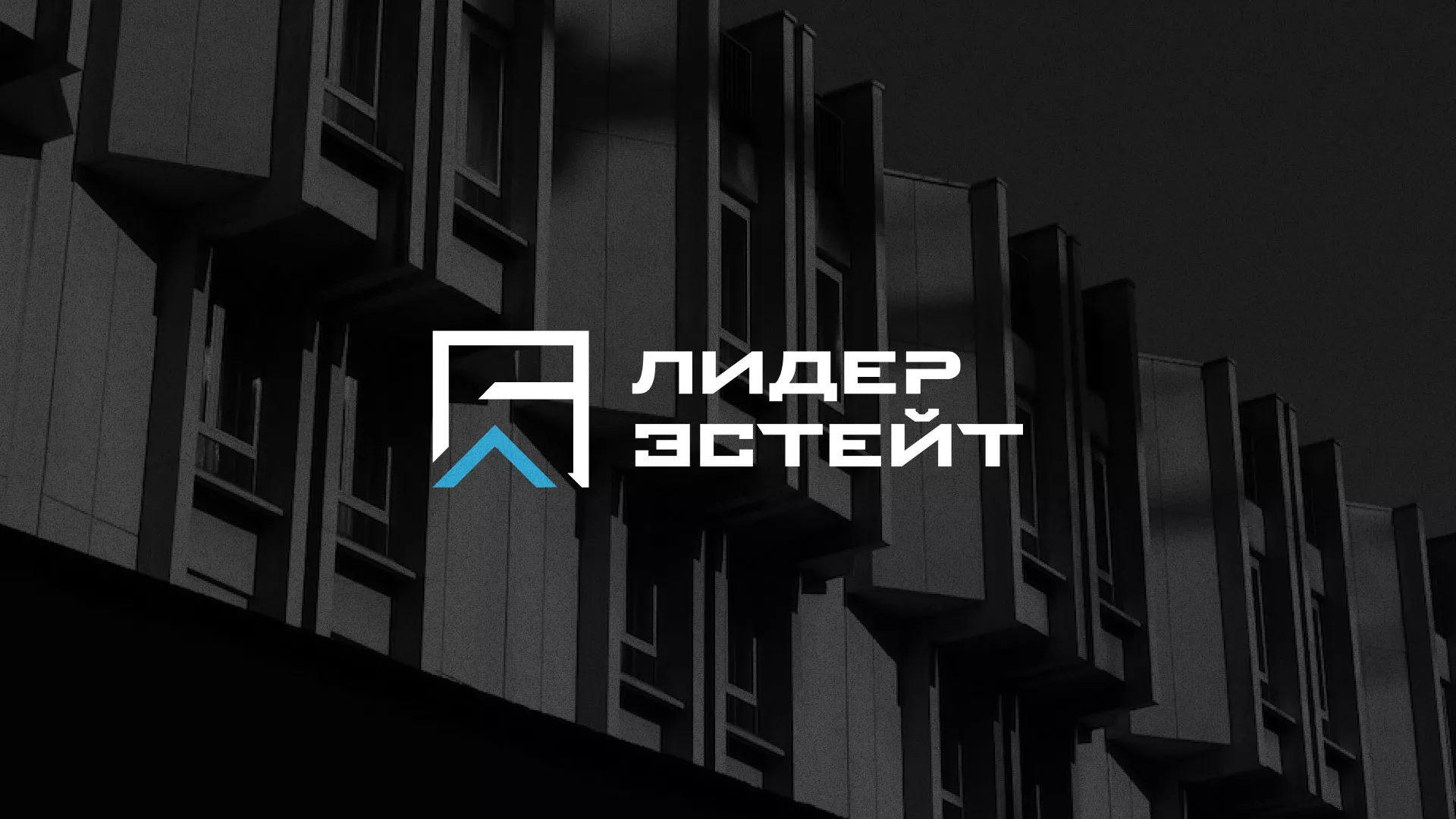 Разработка логотипа агентства недвижимости «Лидер Эстейт» в Астрахани